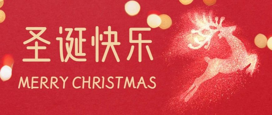 華美圣誕，溫暖相伴