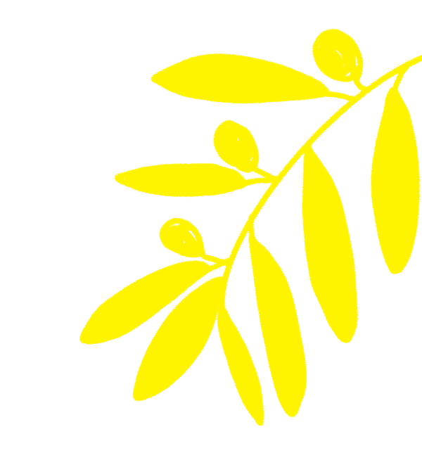 華美x達聞西|舉杯邀明月 中秋共團圓 華美x達聞西|舉杯邀明月 中秋共團圓