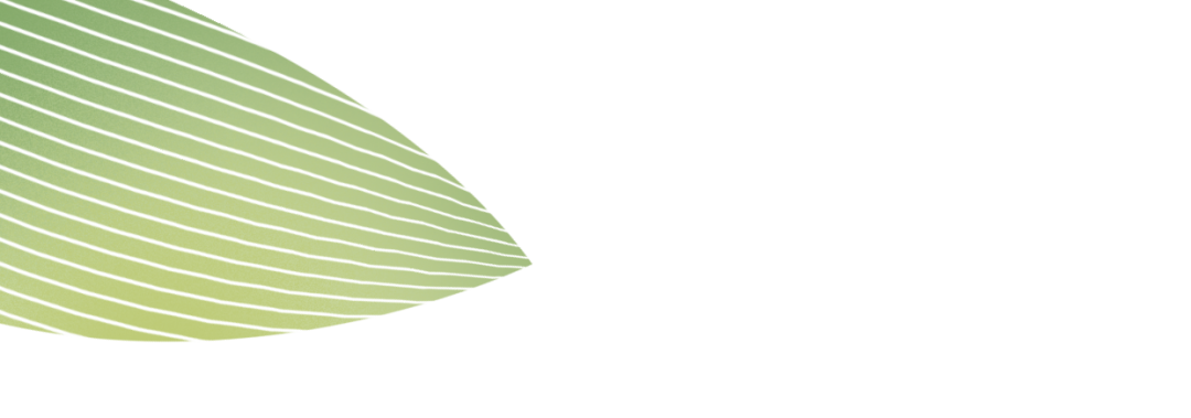 沒想到，粽子也有不為人人知的一面…