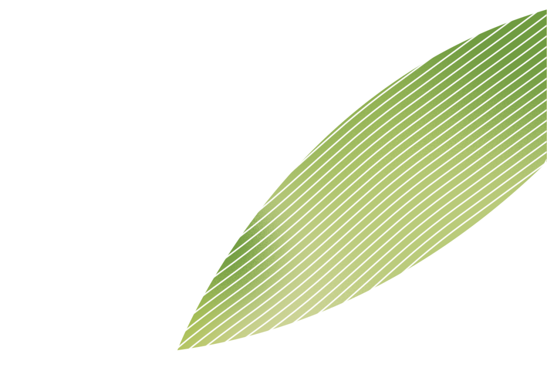 沒想到，粽子也有不為人人知的一面…