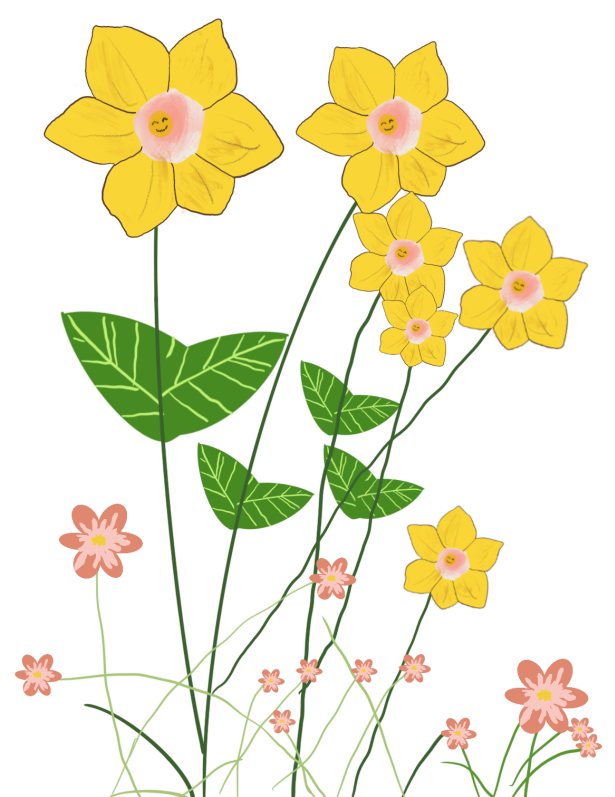 不負(fù)好春光，華美春季福利到~