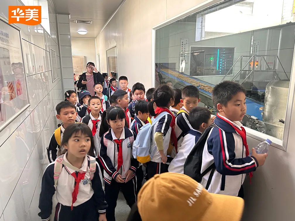 華美月餅夢(mèng)工廠：開啟文化探索新旅程